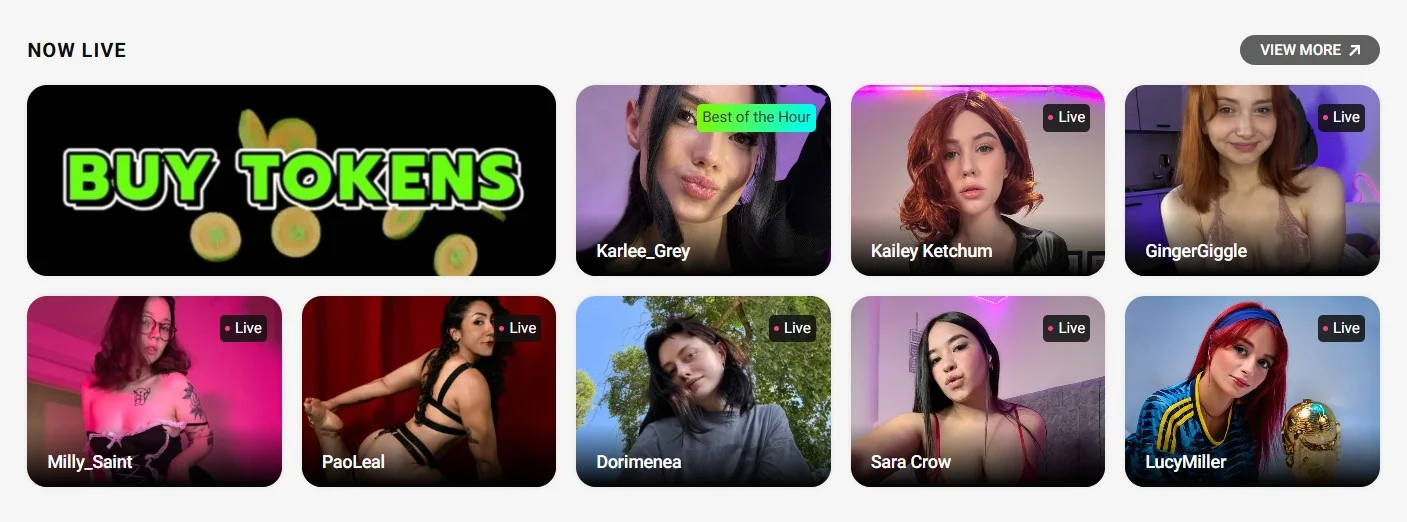 Many Vids Live Stream interface with real-time chat and tipping features